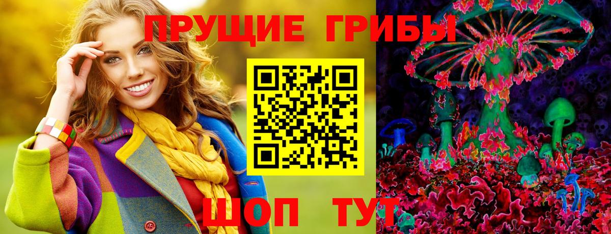 Псилоцибиновые грибы MAGIC MUSHROOMS  Галлюциногенные грибы GOLDEN TEACHER  Юрга  Вход с VPN 
